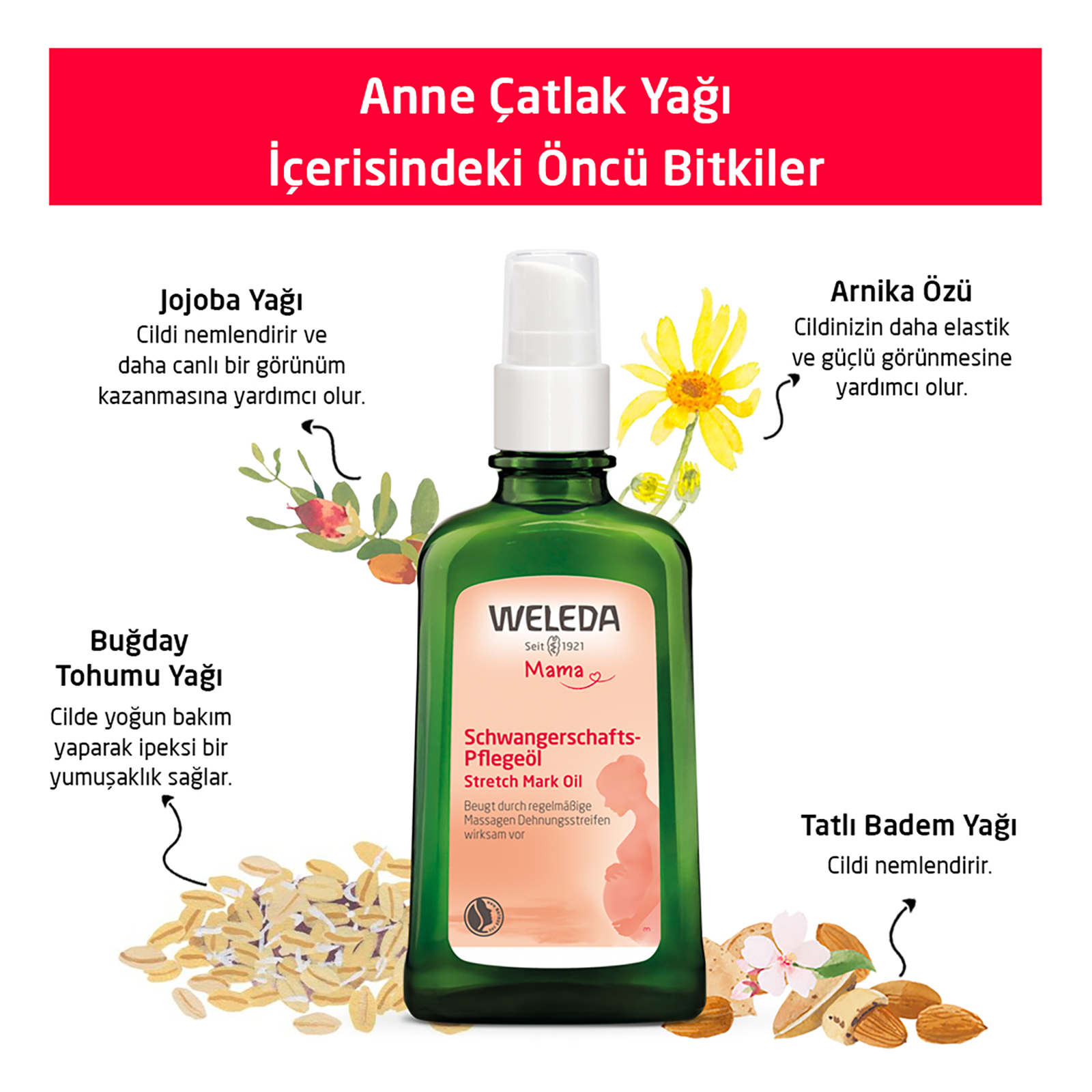 Anne Çatlak Yağı 100ml