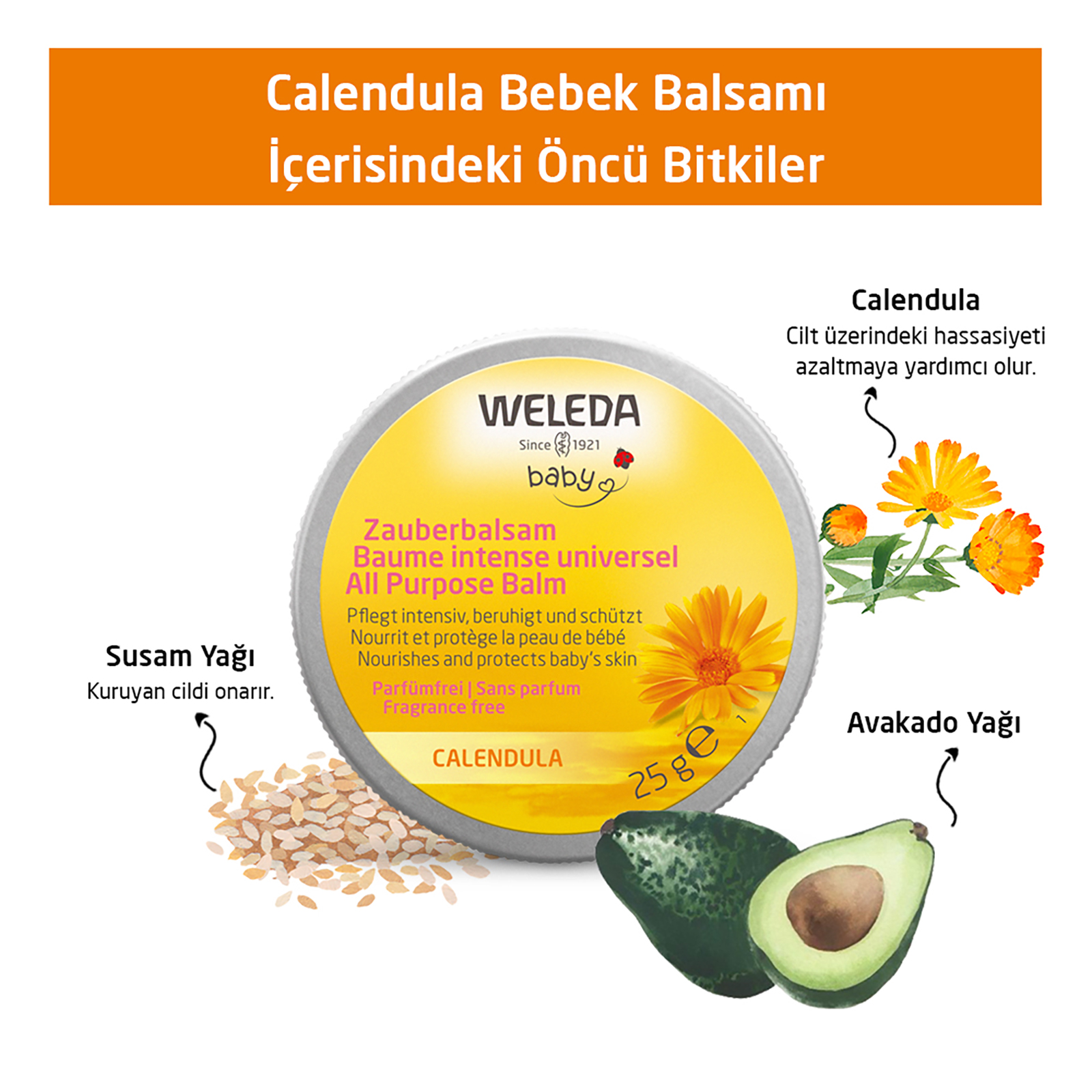 Calendula Bebek Balsamı 25gr